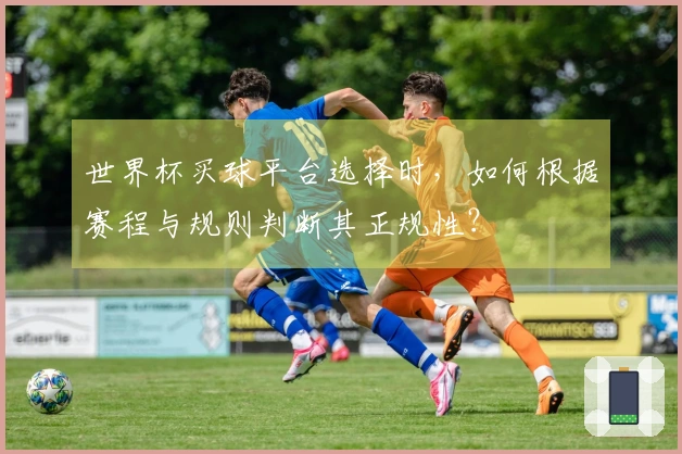 世界杯买球平台选择时，如何根据赛程与规则判断其正规性？