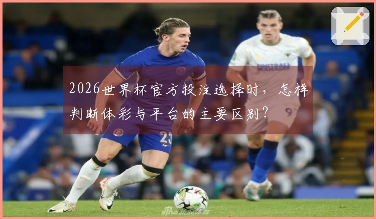 2026世界杯官方投注选择时，怎样判断体彩与平台的主要区别？
