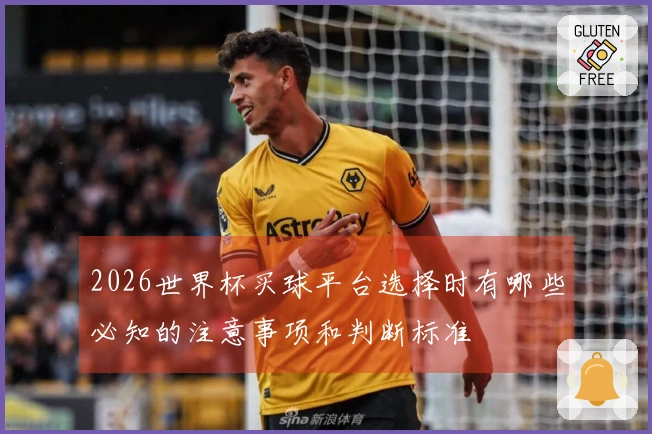 2026世界杯买球平台选择时有哪些必知的注意事项和判断标准