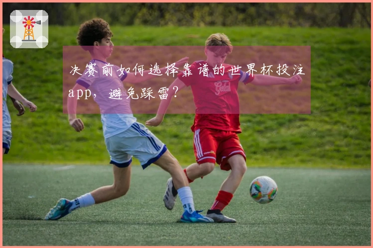 决赛前如何选择靠谱的世界杯投注app，避免踩雷？