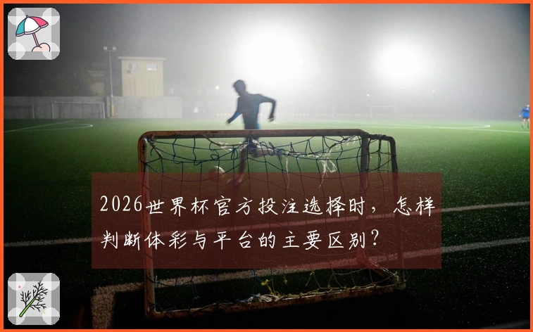 2026世界杯官方投注选择时，怎样判断体彩与平台的主要区别？